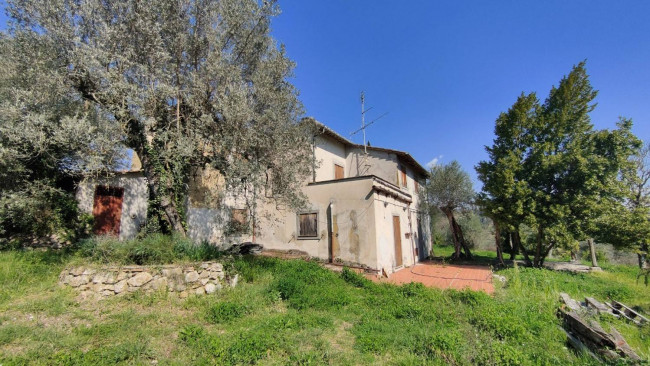 Homestead for sale in Amelia