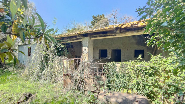 Homestead for sale in Amelia