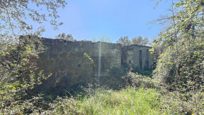 Homestead for sale in Amelia