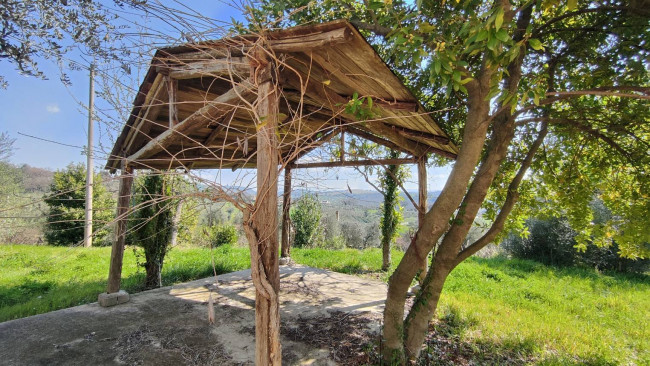 Homestead for sale in Amelia