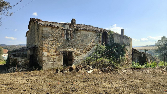 Homestead for sale in Amelia