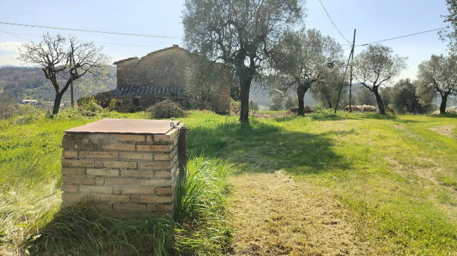 Homestead for sale in Amelia