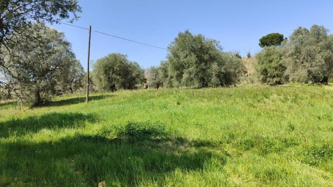 Homestead for sale in Amelia