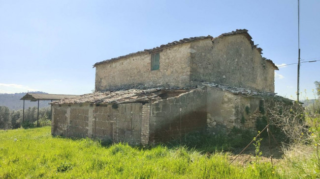 Homestead for sale in Amelia