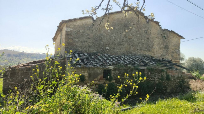 Homestead for sale in Amelia