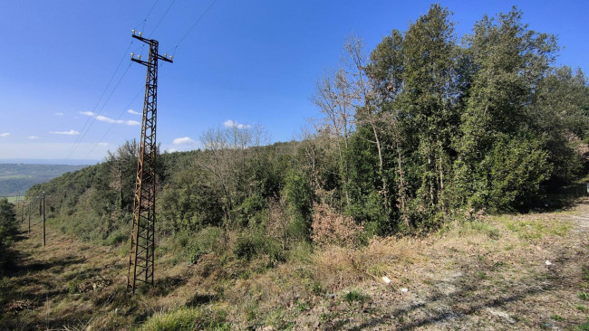 Terreno Agricolo in vendita a Amelia