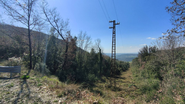 Terreno Agricolo in vendita a Amelia
