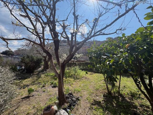 casa semi-indipendente in vendita a Narni