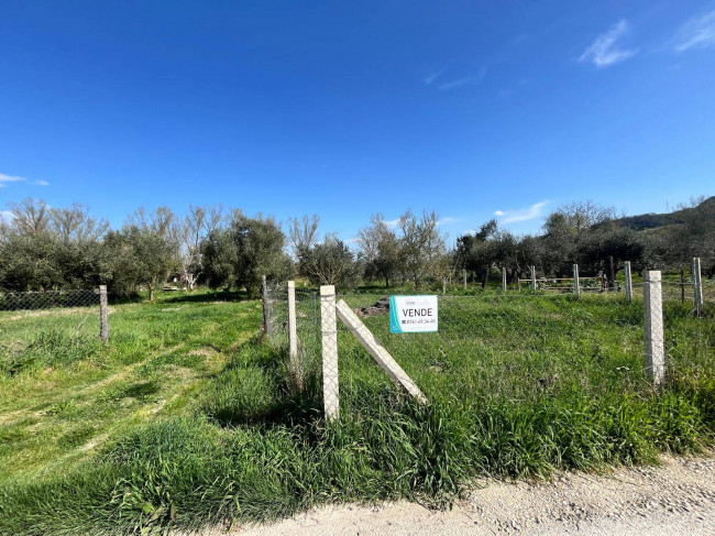 Agricultural Land for sale in Orte