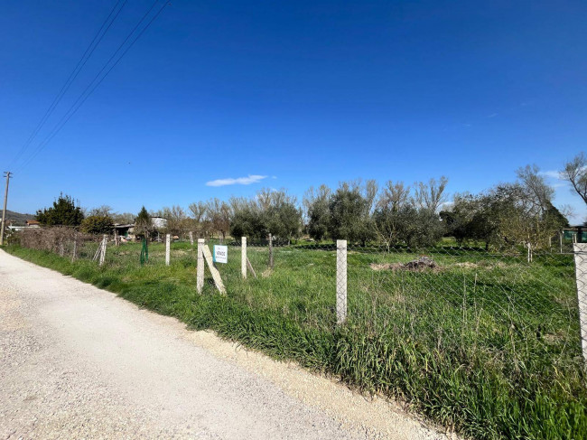 Agricultural Land for sale in Orte