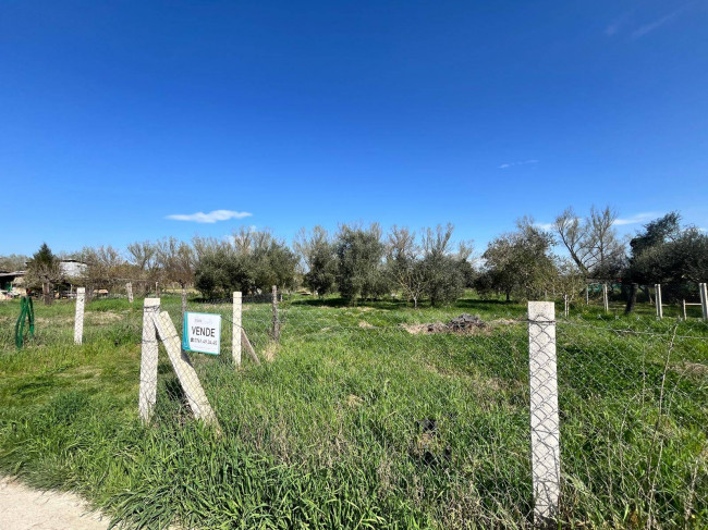 Agricultural Land for sale in Orte