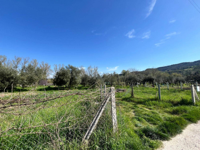 Agricultural Land for sale in Orte