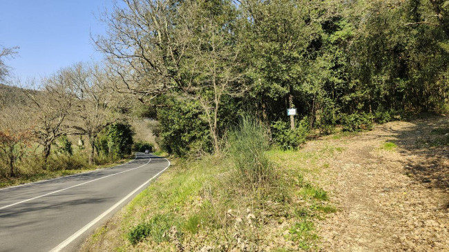 Terreno Agricolo in vendita a Amelia