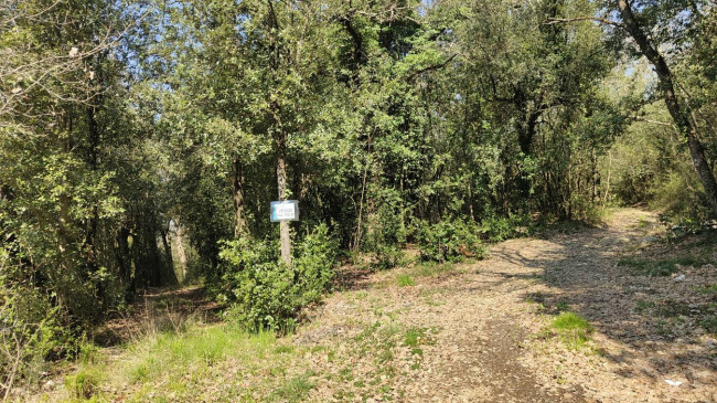 Terreno Agricolo in vendita a Amelia
