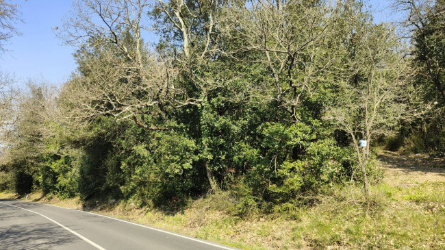 Terreno Agricolo in vendita a Amelia