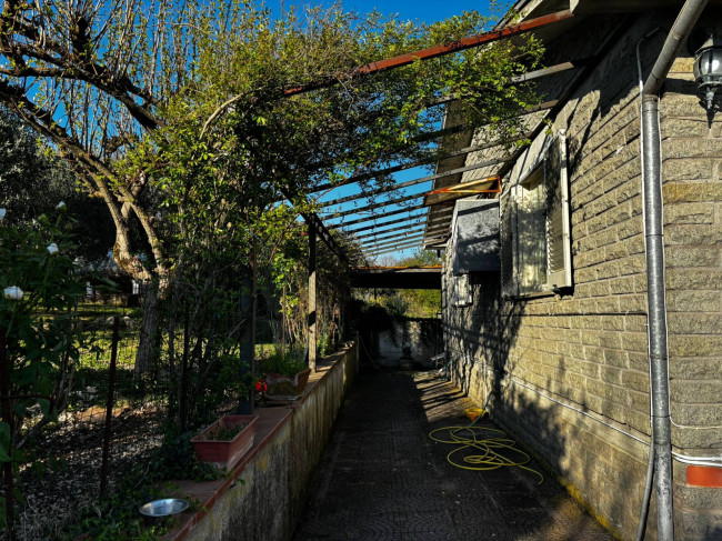 Single House for sale in Vasanello