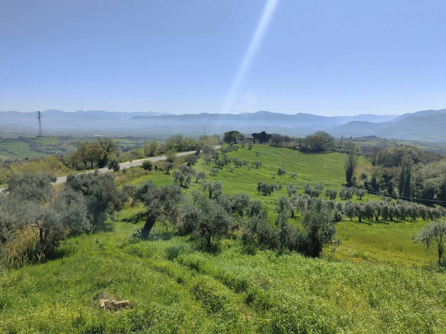 Casale in vendita a Narni