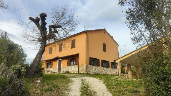 Casale in vendita a Attigliano