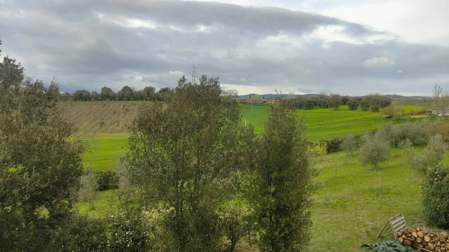 Casale in vendita a Attigliano