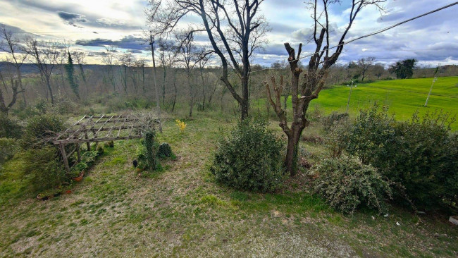 Casale in vendita a Attigliano