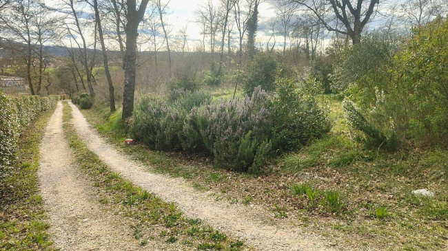 Casale in vendita a Attigliano