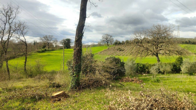 Casale in vendita a Attigliano