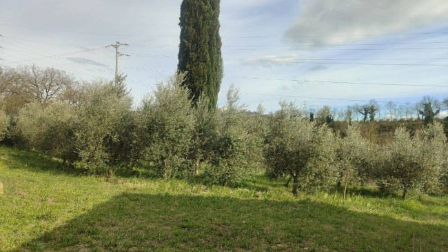 Casale in vendita a Attigliano