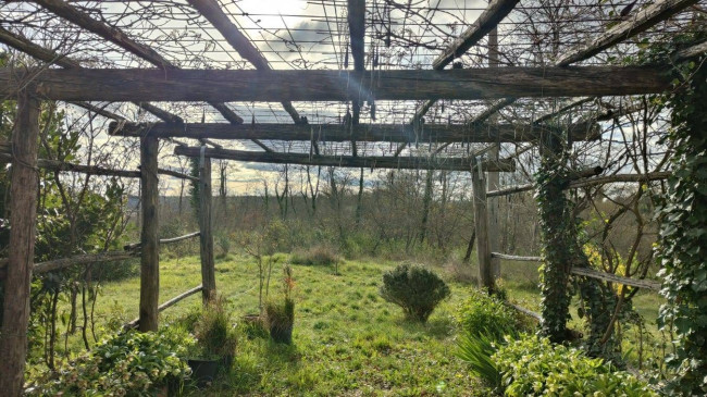 Casale in vendita a Attigliano