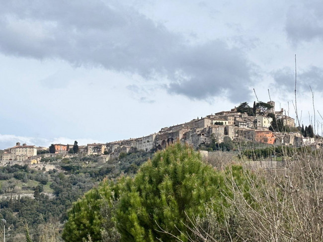 Villa in vendita a Amelia