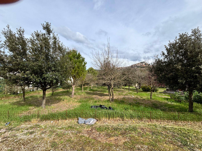 Villa in vendita a Amelia