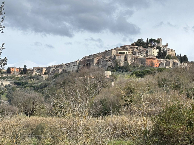 Villa in vendita a Amelia