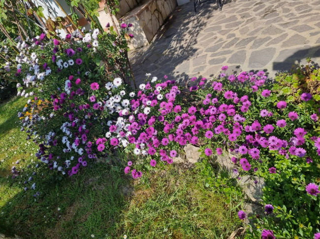 Villa for sale in Montecchio