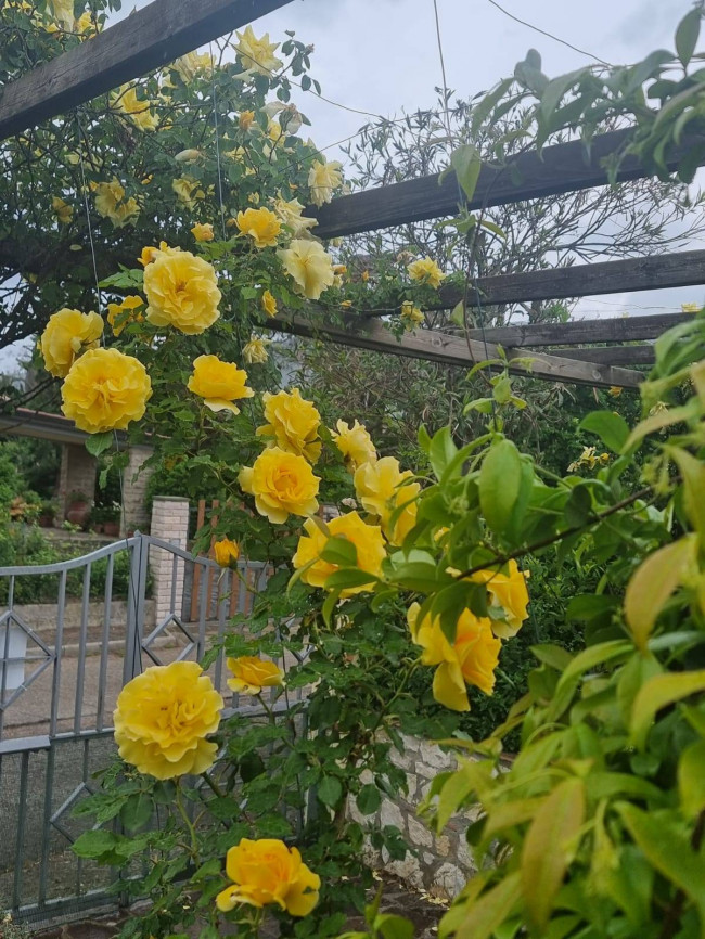 Villa for sale in Montecchio