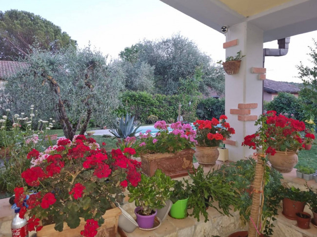 Villa for sale in Montecchio