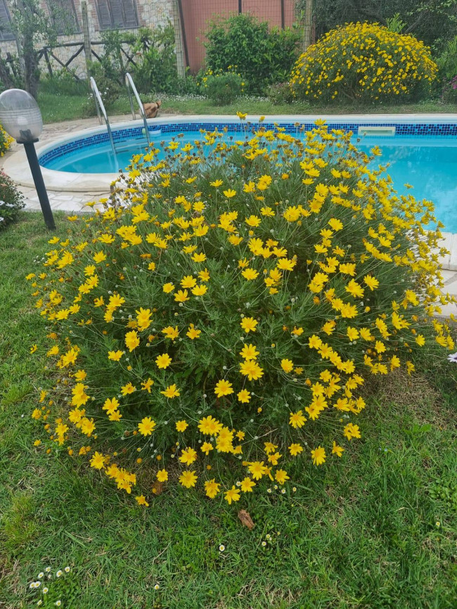 Villa for sale in Montecchio