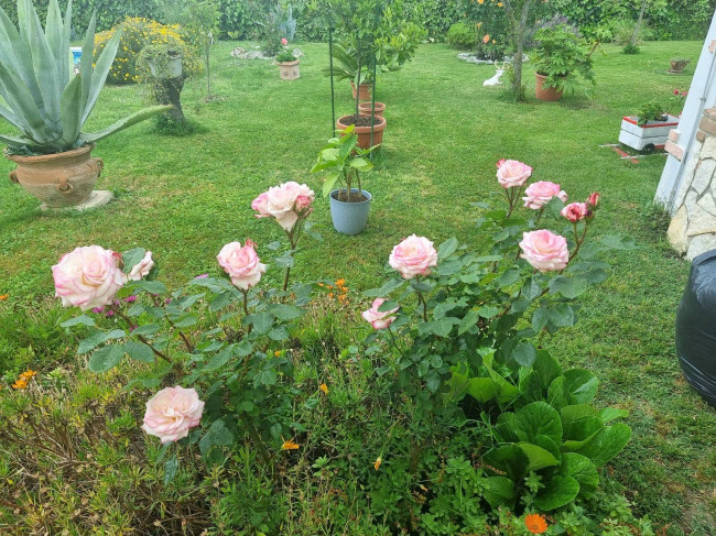 Villa for sale in Montecchio