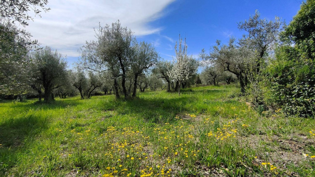 Single House for sale in Amelia