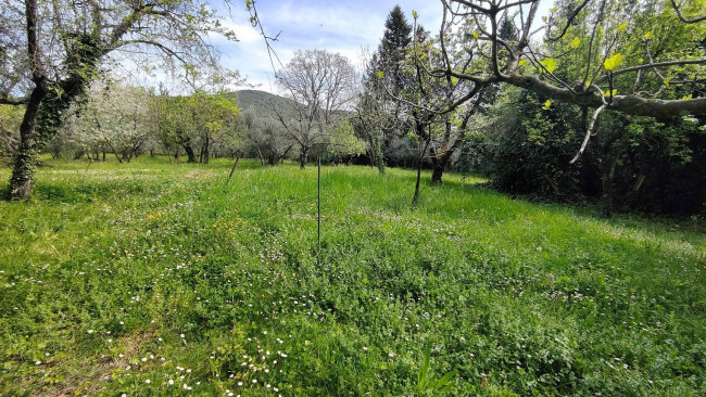 Single House for sale in Amelia