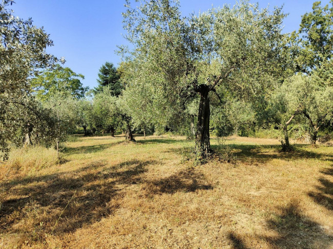 Single House for sale in Amelia