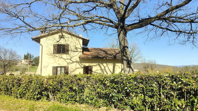 Villa in vendita a Montecchio