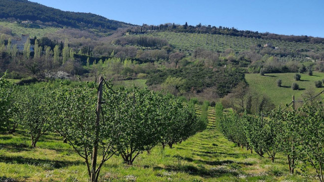 Villa in vendita a Montecchio