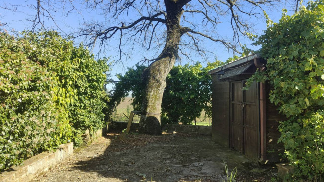 Villa in vendita a Montecchio