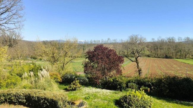 Villa in vendita a Montecchio