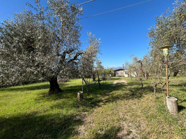 Rustico in vendita a Bassano in Teverina