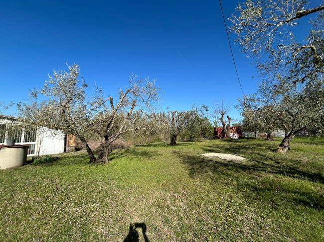 Rustico in vendita a Bassano in Teverina