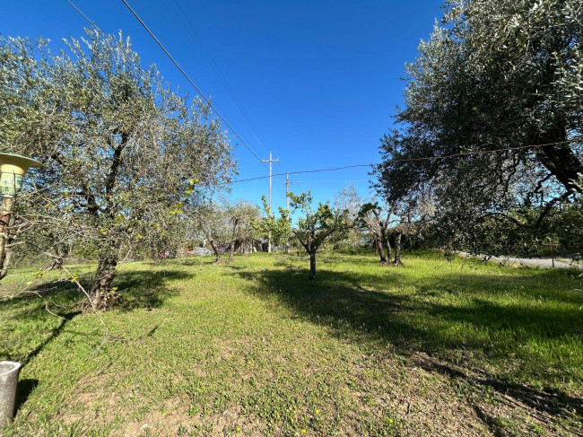 Rustico in vendita a Bassano in Teverina