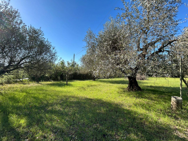 Rustico in vendita a Bassano in Teverina