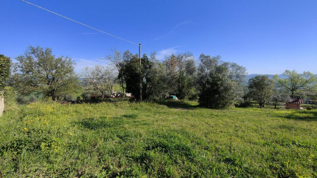 Land for sale in Amelia