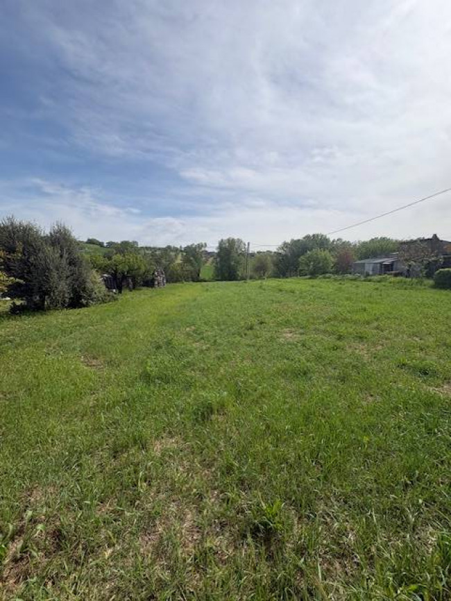 Terreno Agricolo in vendita a Narni