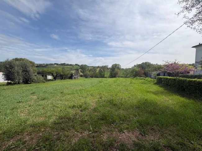 Terreno Agricolo in vendita a Narni